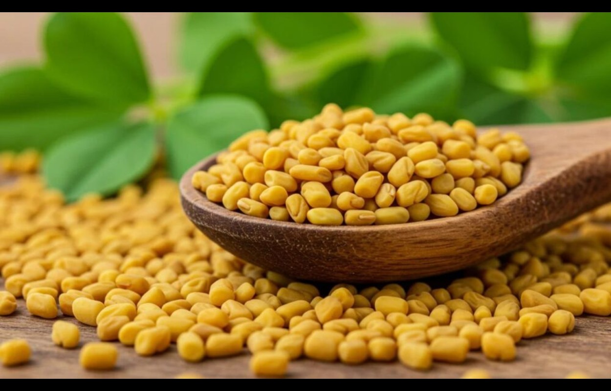 Foenegriek: Uses, benefits and practical information